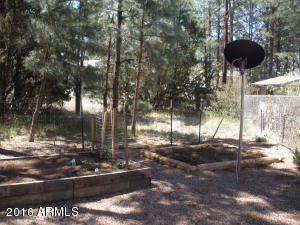 3474 Black Bear Run, Overgaard, AZ 85933 photo 22