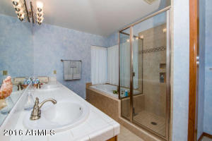 1819 E Sheena Dr, Phoenix, AZ 85022 photo 14