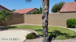 1438 E Redfield Rd, Gilbert, AZ 85234 photo 17