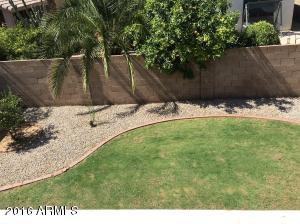 3110 E Captain Dreyfus Ave, Phoenix, AZ 85032 photo 17