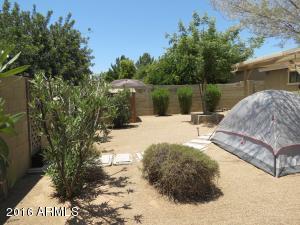 3837 E Captain Dreyfus Ave, Phoenix, AZ 85032 photo 16