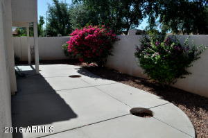 1513 W Shellfish Dr, Gilbert, AZ 85233 photo 17