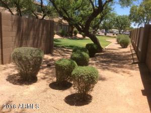 1371 S Boulder St #A, Gilbert, AZ 85296 photo 5