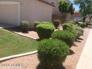 1371 S Boulder St #A, Gilbert, AZ 85296 photo 3
