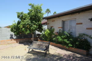 3418 E Paradise Dr, Phoenix, AZ 85028 photo 6