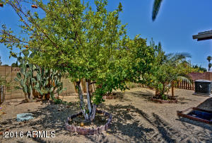 3512 E Sandra Ter, Phoenix, AZ 85032 photo 29