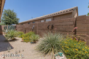 1107 E Temple Ct, Gilbert, AZ 85296 photo 20