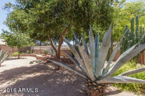 1107 E Temple Ct, Gilbert, AZ 85296 photo 18