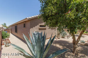 1107 E Temple Ct, Gilbert, AZ 85296 photo 17