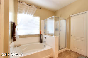 2881 Eleana Ln, Gilbert, AZ 85298 photo 16