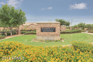 2881 Eleana Ln, Gilbert, AZ 85298 photo 27