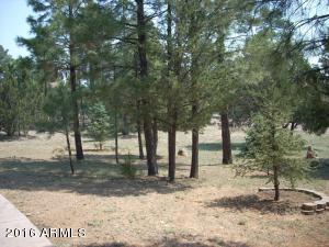 2970 Arrowhead Dr, Overgaard, AZ 85933 photo 6