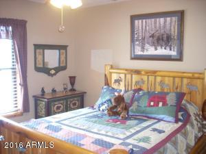 2970 Arrowhead Dr, Overgaard, AZ 85933 photo 34