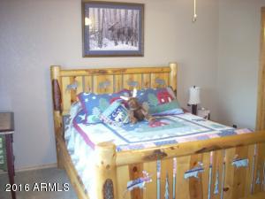 2970 Arrowhead Dr, Overgaard, AZ 85933 photo 32