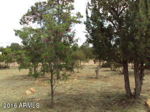 2052 Rendezvous Pine Dr, Overgaard, AZ 85933 photo 29
