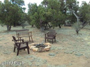 2052 Rendezvous Pine Dr, Overgaard, AZ 85933 photo 19