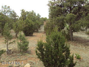 2052 Rendezvous Pine Dr, Overgaard, AZ 85933 photo 17