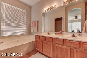 3625 E Bruce Ave, Gilbert, AZ 85234 photo 22