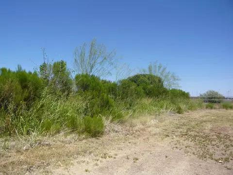 13423 S 155 St, Gilbert, AZ 85296 photo 10