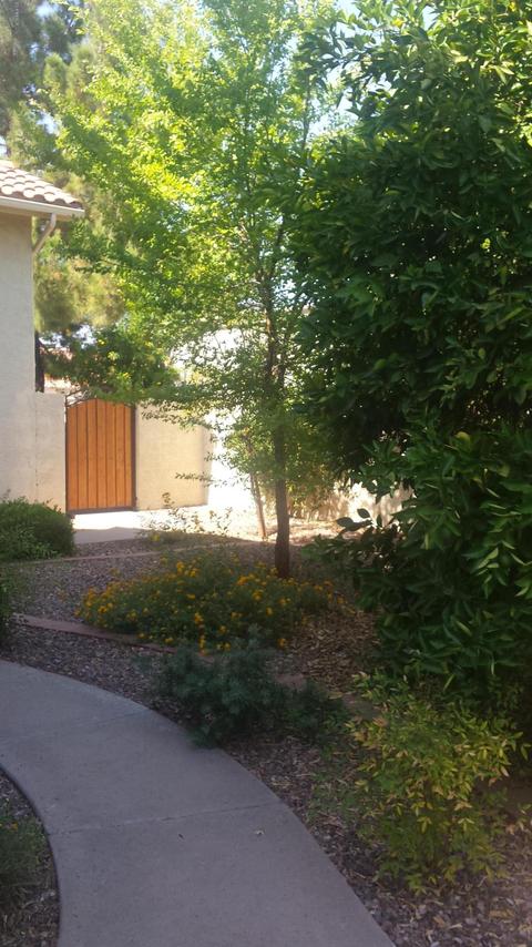 3347 E Grove Ave, Mesa, AZ 85204 photo 36