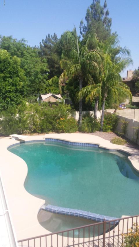 3347 E Grove Ave, Mesa, AZ 85204 photo 35