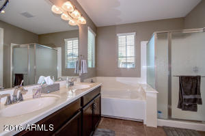 932 S Osborn Ln, Gilbert, AZ 85296 photo 37