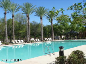 932 S Osborn Ln, Gilbert, AZ 85296 photo 45
