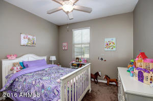 932 S Osborn Ln, Gilbert, AZ 85296 photo 33