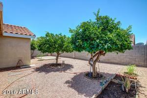 9975 W Devonshire Ave, Phoenix, AZ 85037 photo 13