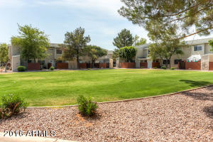 2301 E University Dr #398, Mesa, AZ 85213 photo 24