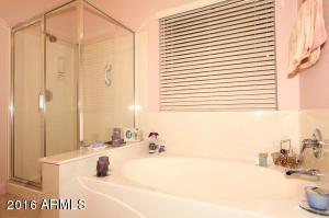 10217 E Jerome Ave, Mesa, AZ 85209 photo 20