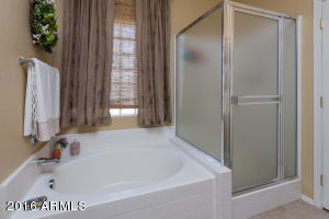 4532 E County Down Dr, Chandler, AZ 85249 photo 12