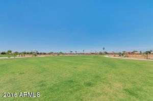 8562 E Desert Ln, Mesa, AZ 85209 photo 30