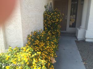 608 W Devon Ct, Gilbert, AZ 85233 photo 81
