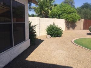 608 W Devon Ct, Gilbert, AZ 85233 photo 79