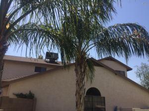 608 W Devon Ct, Gilbert, AZ 85233 photo 62