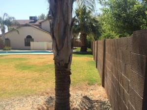 608 W Devon Ct, Gilbert, AZ 85233 photo 59