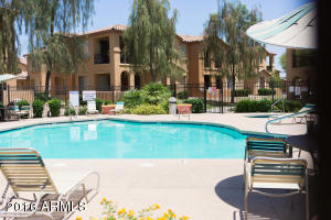 950 E Lois Ln, Phoenix, AZ 85020 photo 48