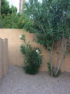 950 E Lois Ln, Phoenix, AZ 85020 photo 47