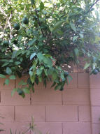 950 E Lois Ln, Phoenix, AZ 85020 photo 16