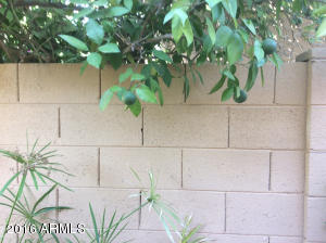 950 E Lois Ln, Phoenix, AZ 85020 photo 17