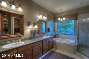 3952 E Nocona Ln, Phoenix, AZ 85050 photo 19