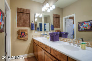 3952 E Nocona Ln, Phoenix, AZ 85050 photo 26
