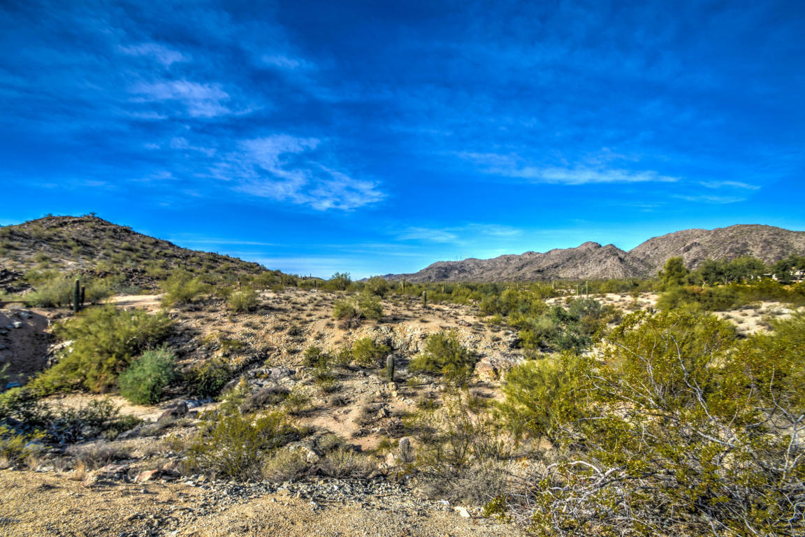 3420 E Manso St, Phoenix, AZ 85044 photo 48