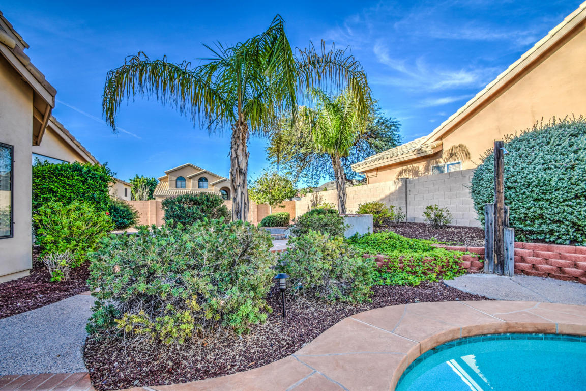 3420 E Manso St, Phoenix, AZ 85044 photo 40