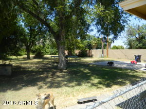 718 E University Dr, Mesa, AZ 85203 photo 5