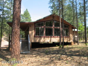 3024 Apache Dr, Happy Jack, AZ 86024 photo 14