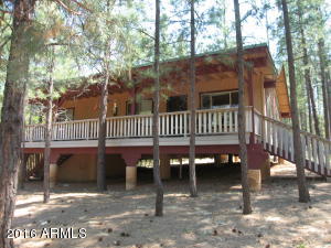 3024 Apache Dr, Happy Jack, AZ 86024 photo 13