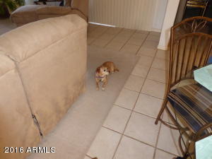 429 E Desert Ranch Rd, Phoenix, AZ 85086 photo 14