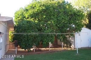 651 N N Frst, Mesa, AZ 85203 photo 27